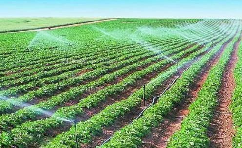 爆操18农田高 效节水灌溉